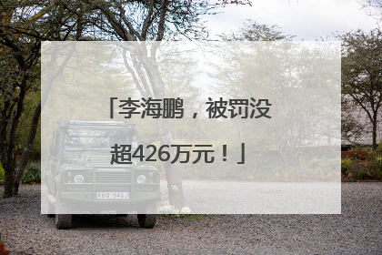 李海鹏，被罚没超426万元！