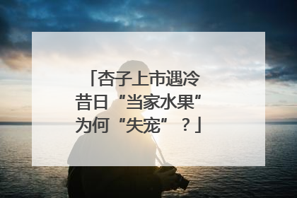 杏子上市遇冷 昔日“当家水果”为何“失宠”？