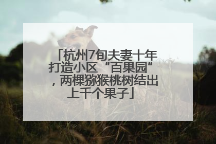 杭州7旬夫妻十年打造小区“百果园”，两棵猕猴桃树结出上千个果子