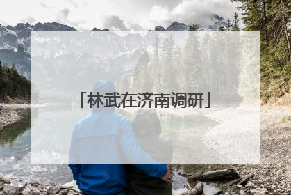 林武在济南调研
