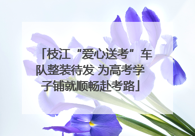 枝江“爱心送考”车队整装待发 为高考学子铺就顺畅赴考路
