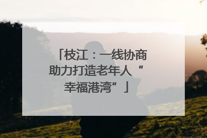 枝江：一线协商助力打造老年人“幸福港湾”