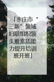 枣庄市“三新”领域妇联组织领头雁素质能力提升培训班开班