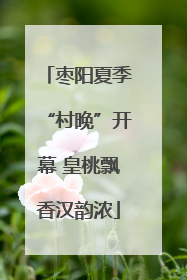 枣阳夏季“村晚”开幕 皇桃飘香汉韵浓