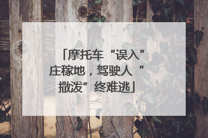 摩托车“误入”庄稼地，驾驶人“撒泼”终难逃