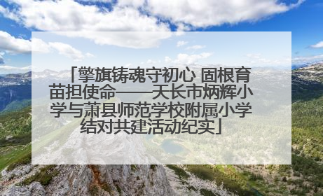 擎旗铸魂守初心 固根育苗担使命——天长市炳辉小学与萧县师范学校附属小学结对共建活动纪实