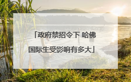 政府禁招令下 哈佛国际生受影响有多大