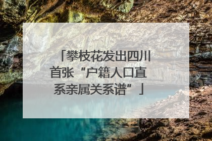 攀枝花发出四川首张“户籍人口直系亲属关系谱”