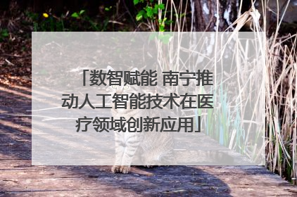 数智赋能 南宁推动人工智能技术在医疗领域创新应用