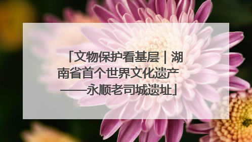 文物保护看基层｜湖南省首个世界文化遗产——永顺老司城遗址