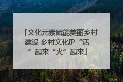 文化元素赋能美丽乡村建设 乡村文化IP“活”起来“火”起来