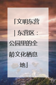 文明东营｜东营区：公园里的全龄文化栖息地