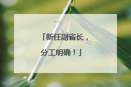 新任副省长，分工明确！