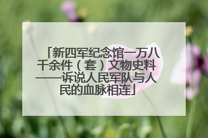 新四军纪念馆一万八千余件（套）文物史料——诉说人民军队与人民的血脉相连