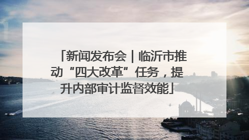 新闻发布会｜临沂市推动“四大改革”任务，提升内部审计监督效能