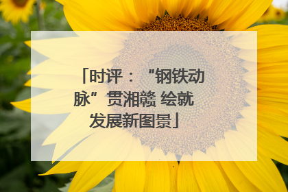 时评：“钢铁动脉”贯湘赣 绘就发展新图景