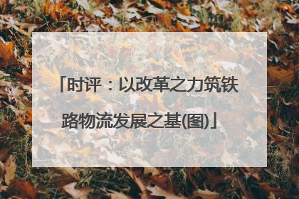 时评：以改革之力筑铁路物流发展之基(图)