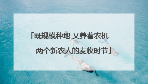 既规模种地 又养着农机——两个新农人的麦收时节