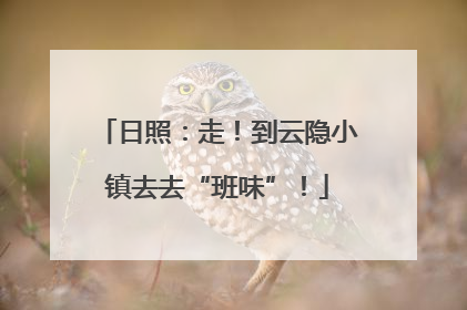 日照：走！到云隐小镇去去“班味”！
