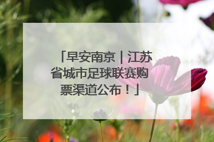 早安南京｜江苏省城市足球联赛购票渠道公布！