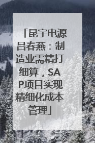 昆宇电源吕春燕：制造业需精打细算，SAP项目实现精细化成本管理