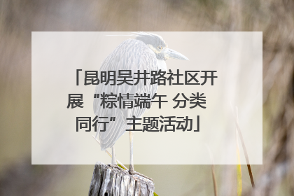 昆明吴井路社区开展“粽情端午 分类同行”主题活动