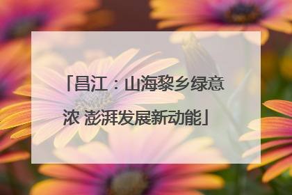 昌江：山海黎乡绿意浓 澎湃发展新动能