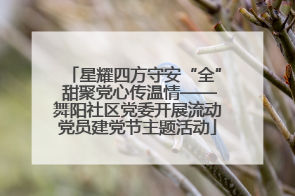 星耀四方守安“全” 甜聚党心传温情——舞阳社区党委开展流动党员建党节主题活动