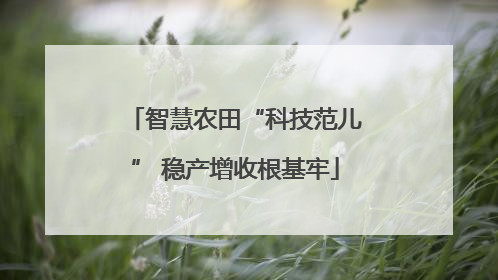 智慧农田“科技范儿” 稳产增收根基牢
