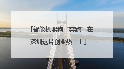 智能机器狗“奔跑”在深圳这片创业热土上