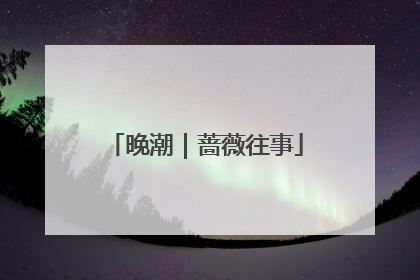 晚潮｜蔷薇往事