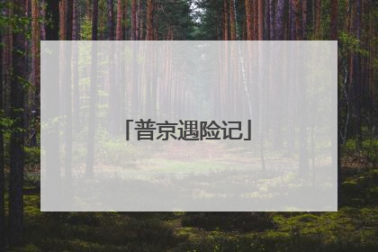 普京遇险记