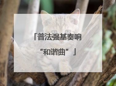 普法强基奏响“和谐曲”