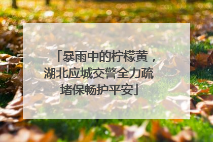 暴雨中的柠檬黄，湖北应城交警全力疏堵保畅护平安