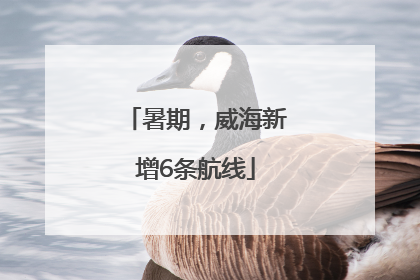 暑期，威海新增6条航线