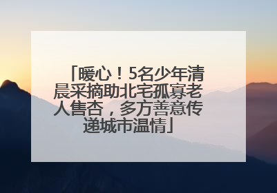 暖心！5名少年清晨采摘助北宅孤寡老人售杏，多方善意传递城市温情