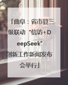 曲阜：省市县三级联动“信访+DeepSeek”创新工作新闻发布会举行