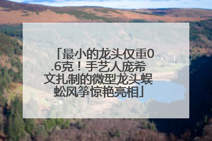 最小的龙头仅重0.6克！手艺人庞希文扎制的微型龙头蜈蚣风筝惊艳亮相