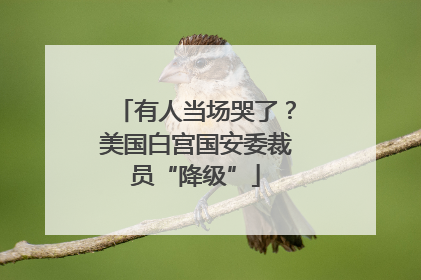 有人当场哭了？美国白宫国安委裁员“降级”