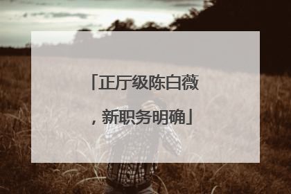 正厅级陈白薇，新职务明确