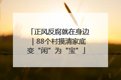 正风反腐就在身边｜88个村摸清家底变“闲”为“宝”