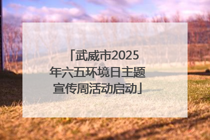 武威市2025年六五环境日主题宣传周活动启动