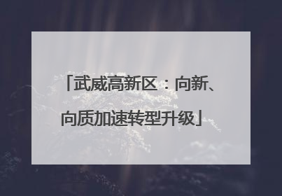 武威高新区：向新、向质加速转型升级