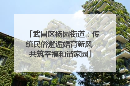 武昌区杨园街道：传统民俗邂逅婚育新风 共筑幸福和谐家园