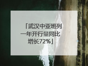 武汉中亚班列一年开行量同比增长72%