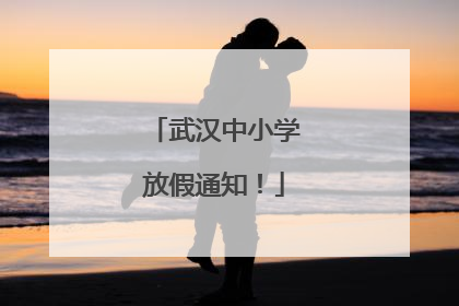 武汉中小学放假通知！