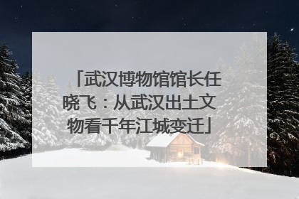 武汉博物馆馆长任晓飞：从武汉出土文物看千年江城变迁