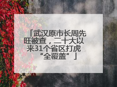 武汉原市长周先旺被查，二十大以来31个省区打虎“全覆盖”