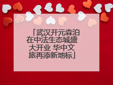 武汉开元森泊在中法生态城盛大开业 华中文旅再添新地标