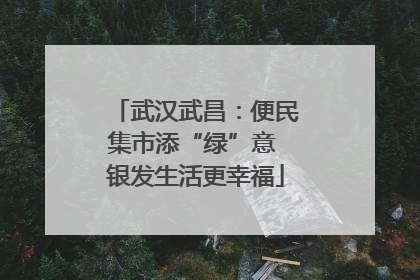 武汉武昌：便民集市添“绿”意 银发生活更幸福